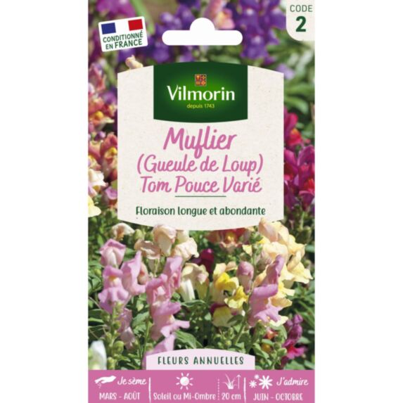 Graines Muflier Tom Pouce Varié - VILMORIN