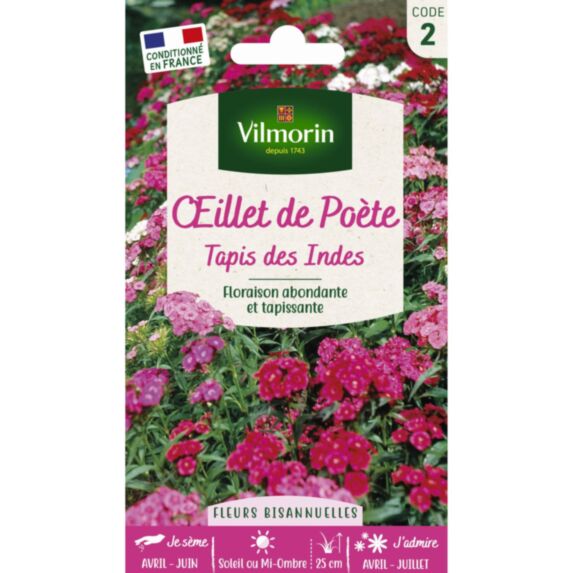 Graines Œillet de Poète Tapis des Indes - VILMORIN