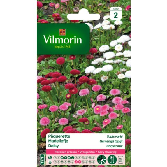 Graines Pâquerette Tapis Varié - VILMORIN