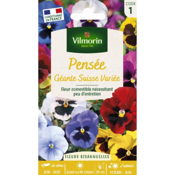 Graines Pensée Géante Suisse Variée - VILMORIN