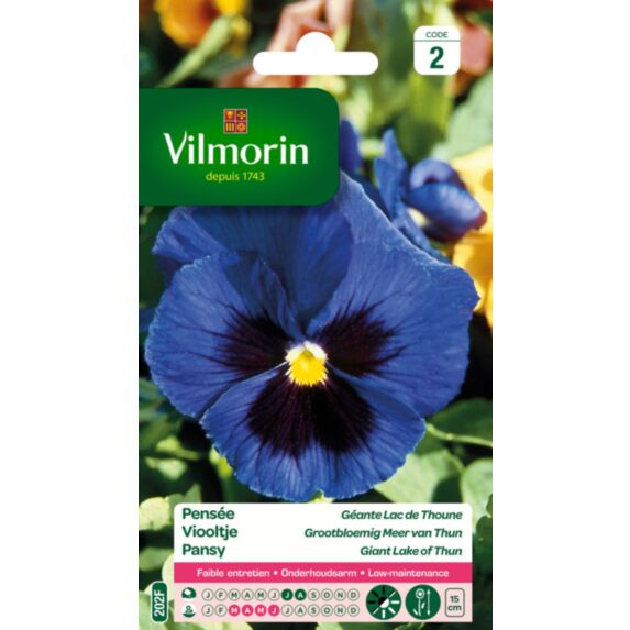 Graines Pensée Géante Lac de Thoune - VILMORIN