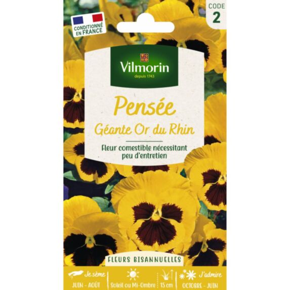 Graines Pensée Géante Or du Rhin - VILMORIN