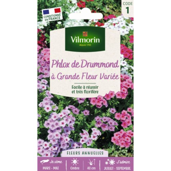Graines Phlox de Drummond à Grande Fleur Varié - VILMORIN