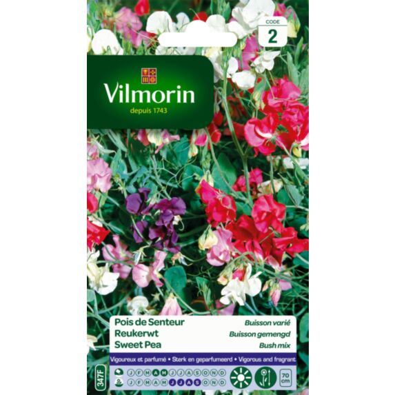 Graines Pois de Senteur Buisson Varié - VILMORIN