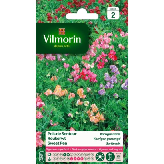 Graines Pois de Senteur Korrigan Varié - VILMORIN