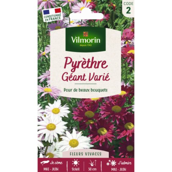 Graines Pyrèthre Géant Varié - VILMORIN