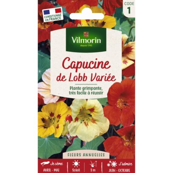 Graines Capucine de Lobb Variée - VILMORIN