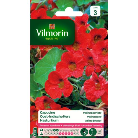 Graines Capucine Valina Écarlate - VILMORIN
