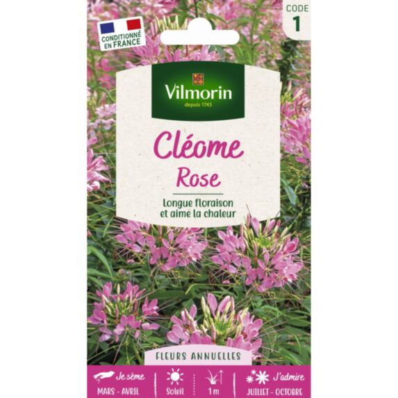 Graines Cléome Rose - VILMORIN