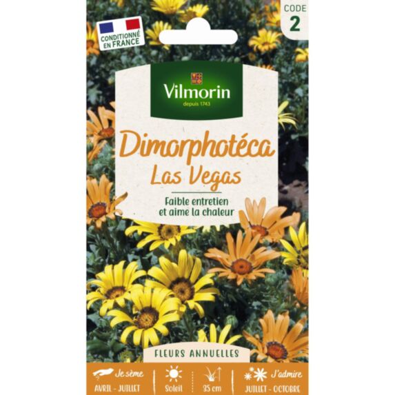 Graines Dimorphotéca Las Vegas - VILMORIN