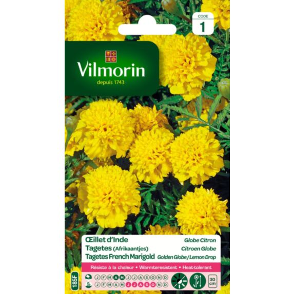 Graines Œillet d'Inde Globe Citron - VILMORIN