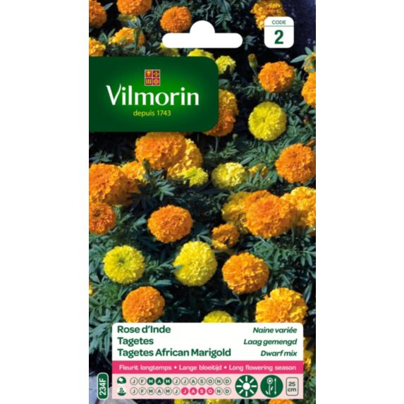 Graines Rose d'Inde Naine Variée - VILMORIN