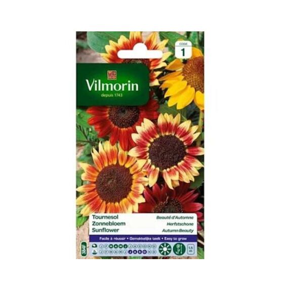 Graines Tournesol Beauté d'Automne - VILMORIN