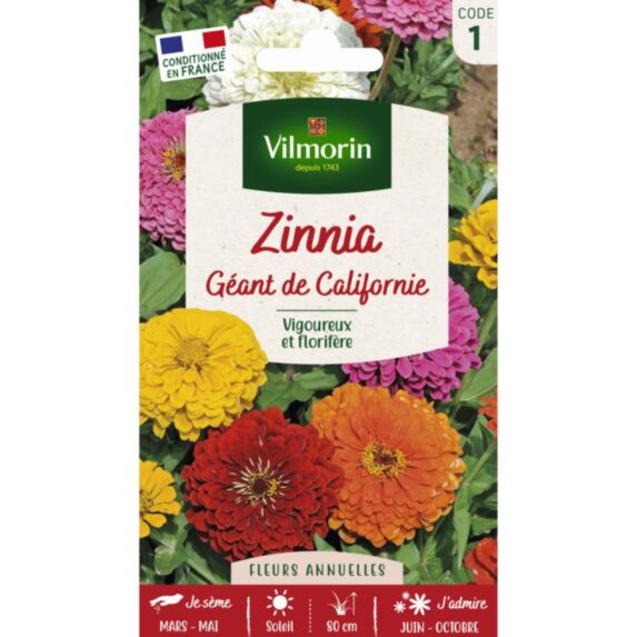 Graines Zinnia Géant de Californie - VILMORIN