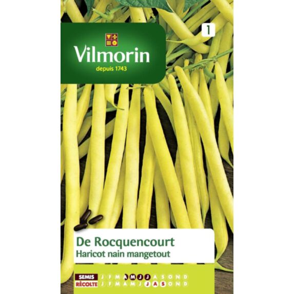 Graines Haricot Nain Beurre de Rocquencourt - VILMORIN