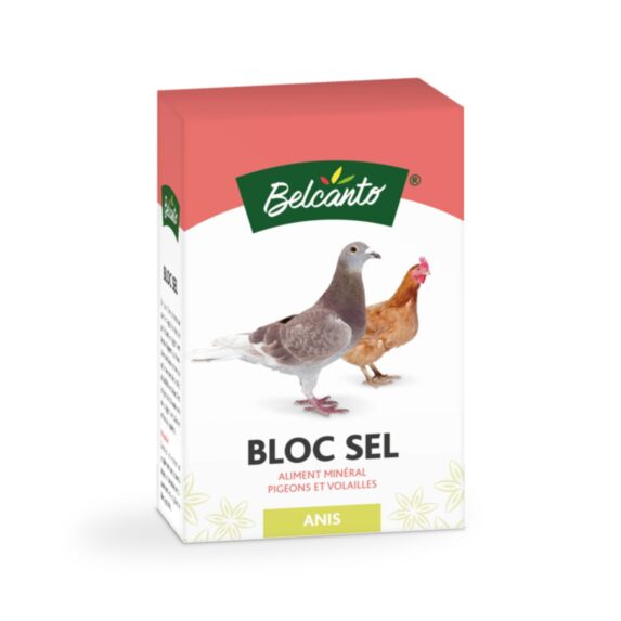 Bloc Sel Anis 1kg