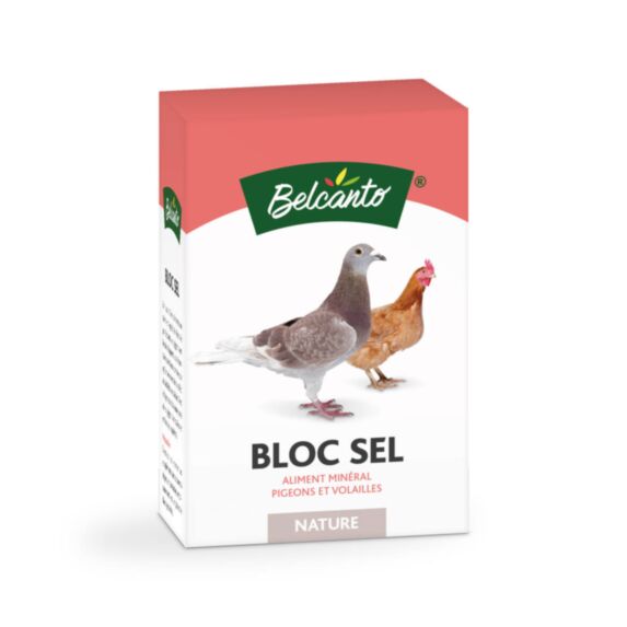 Bloc Sel Nature 1kg