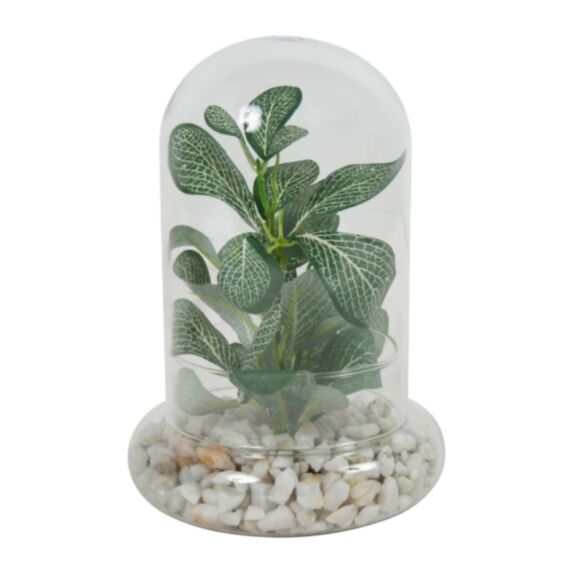 Plante artificielle sous cloche en verre Ø12,9 x 18,7 cm - OSTARIA