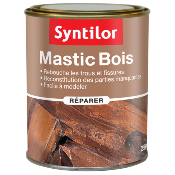 Mastic bois en pâte coloris blanc 250 g - SYNTILOR