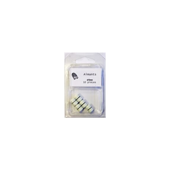 10 Aimants Ronds Ø0,9mm h0,6mm Blanc
