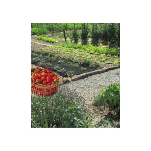 Film de paillage spécial fraises 40µ 1,40x10m - INTERMAS