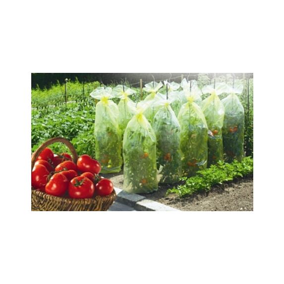 housse de croissance tomates ldpe 50 microns 0,60x10m - NORTENE