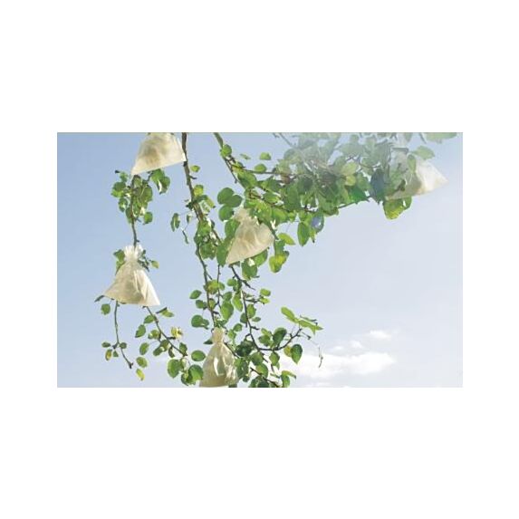 housse à fruit en papier microperforé 0,17x0,22m - INTERMAS