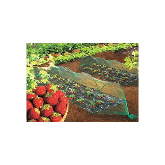 filet de protection oiseaux pe 5x10m - INTERMAS