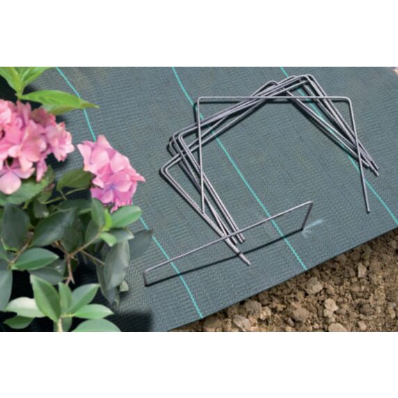 Agrafes de fixation x100