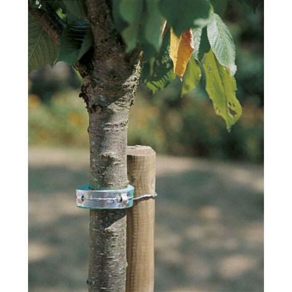 Collier en mousse pour arbre Mouss 0,60m vert - NORTENE