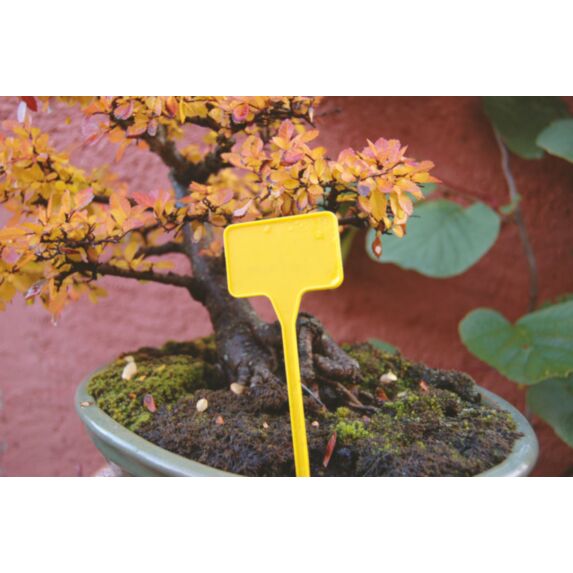 Étiquettes Label 15 à planter x 10 - NORTENE