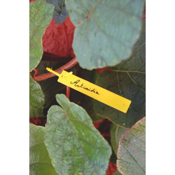 tree label (40 étiquettes à suspendre + feutre)  - NORTENE