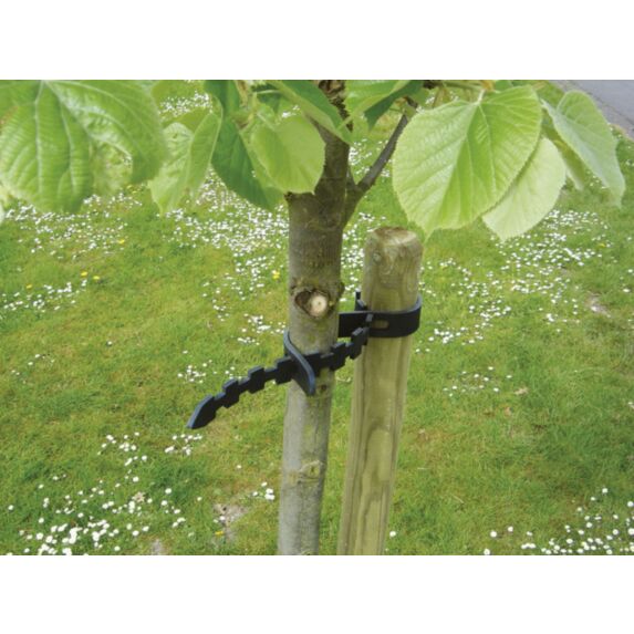 selfix ( 2 colliers arbres) 60x3 cm - NORTENE