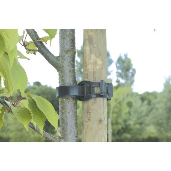 tree tie (collier arbre eva) 0,36 m - NORTENE