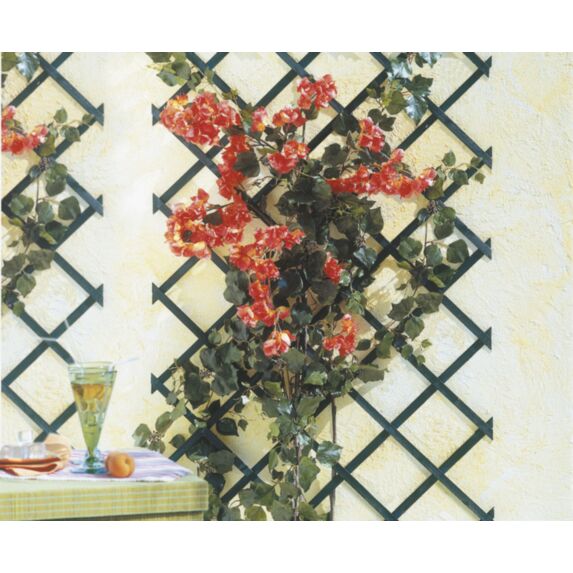 Trellis extensible bois lasuré vert 1x2m TRELLIWOOD - INTERMAS