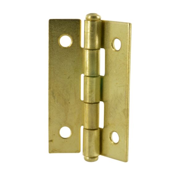 Lot de 2 charnières rectangulaires simples feuilles pour porte à visser 