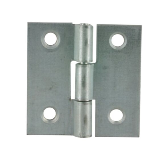 Charnière axe inox 30x30mm acier zingué x2