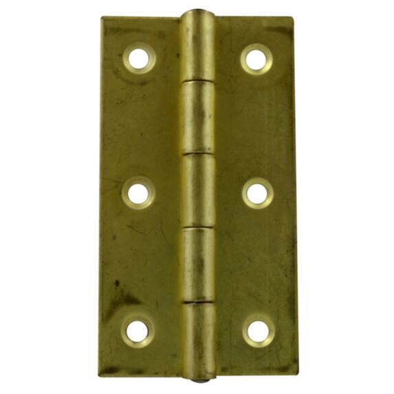 Charnière axe inox 20x16mm acier zingué x4