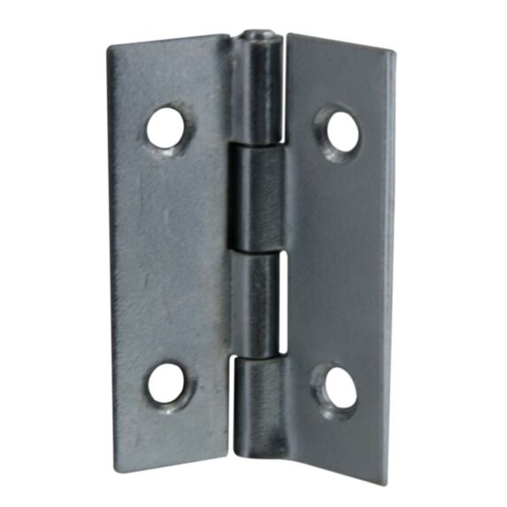 Charnière axe inox 25x18mm acier zingué x4