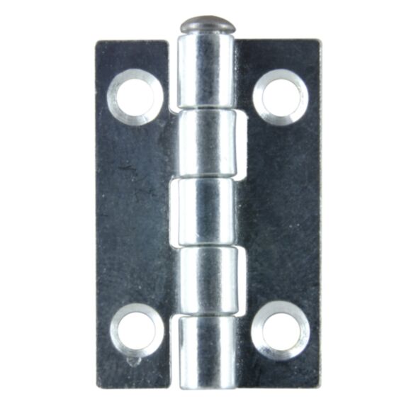 Charnière axe inox 30x19mm acier zingué x4
