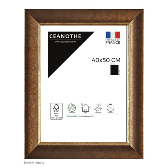 Cadre 40x50 hades filet or