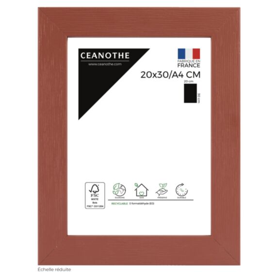 Cadre photo Tutti-Frutti 20x30cm Terracotta 