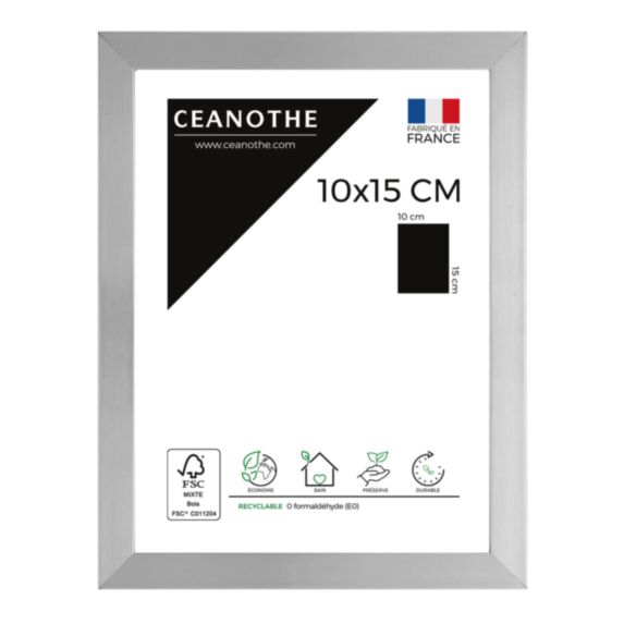 Cadre photo Precious acier 10x15cm - CEANOTHE