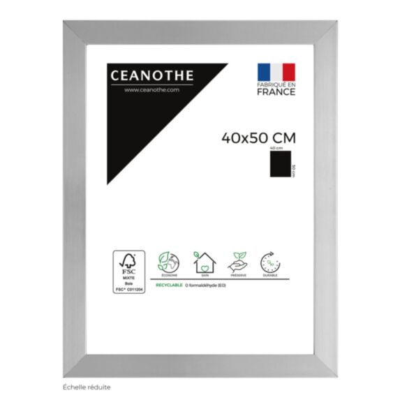 Cadre photo Precious acier 40x50cm - CEANOTHE