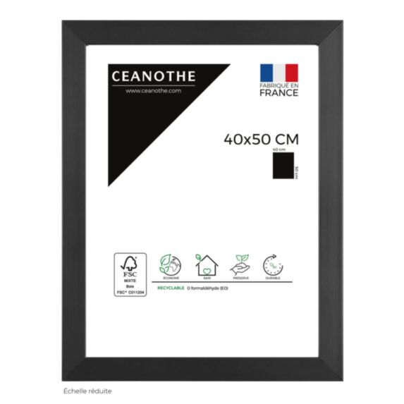 Cadre photo Precious carbone 40x50cm - CEANOTHE