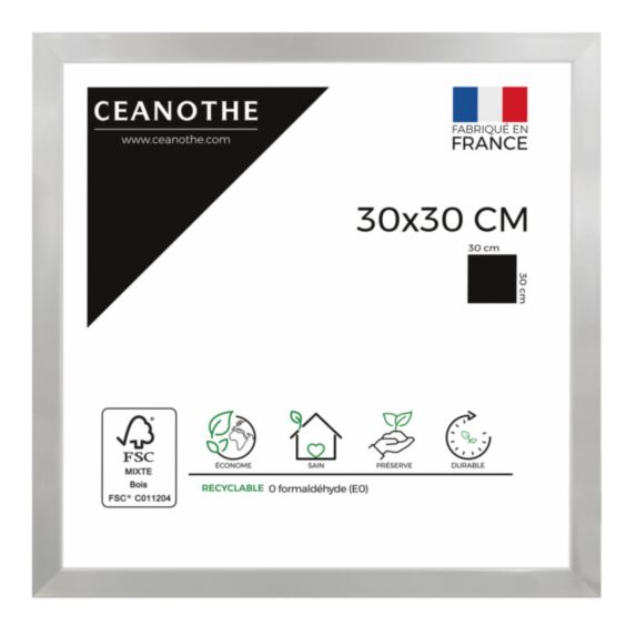 Cadre photo Precious acier 30x30cm - CEANOTHE