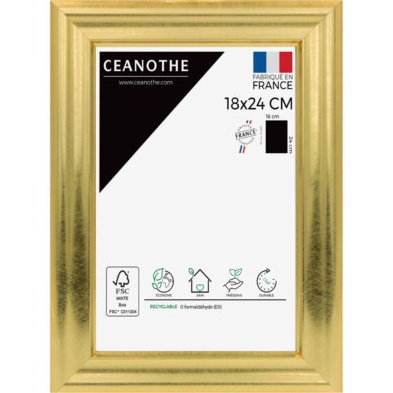 Cadre photo Julia doré 18x24cm - CEANOTHE