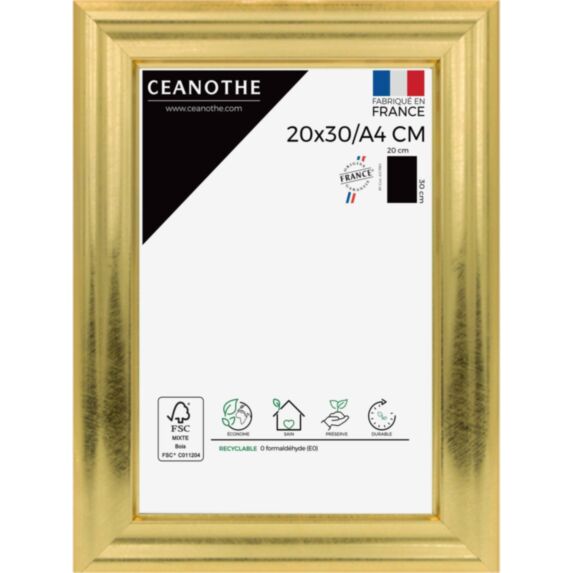 Cadre photo Julia doré 20x30cm / A4 - CEANOTHE