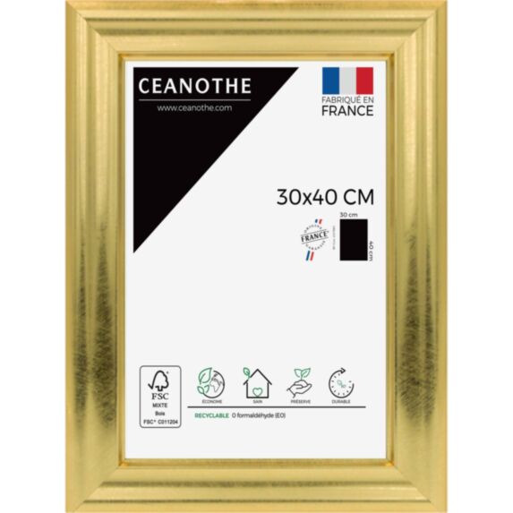 Cadre photo Julia doré 30x40cm - CEANOTHE
