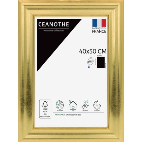 Cadre photo Julia doré 40x50cm - CEANOTHE